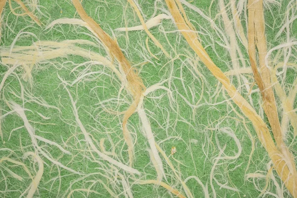 Природні Тайський Шовковиці Козо Паперу Зеленому Тлі — стокове фото