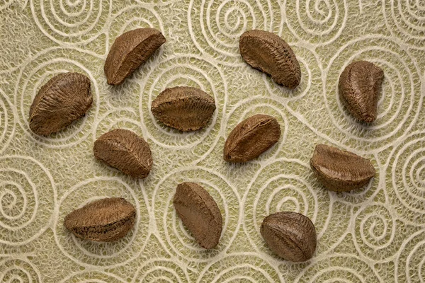 Brazilské Ořechy Skořápce Proti Japonské Washi Tpaper Spirálovým Vzorem — Stock fotografie