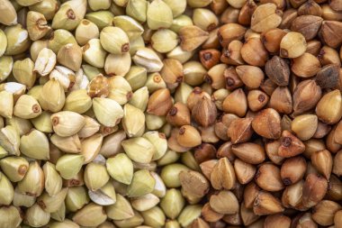 Close-up karabuğday kabuğu çıkarılmış tane ve kavrulmuş kaşa, üstten görünüm