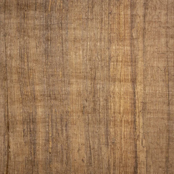 karanlık Mısır papirüs kağıdı arka plan. Papirüs, yenilenebilir bitki kaynak geri en az 5000 yıl kalma en eski yazılı varlığı bugün, malzemedir.