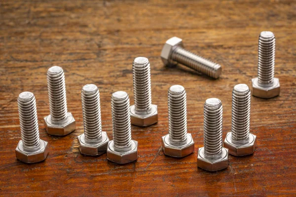 Set Ten Hex Stainless Steel Bolts Rustic Wood — Stock Photo, Image