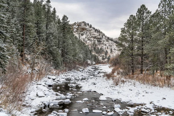 Poudre River Winter Scanery Gateway Natural Area Fort Collins Colorado — Stock Photo, Image