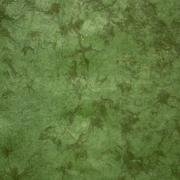 Fundo Musgo Verde Huun Mayan Papel Feito Mão Criado Por — Fotografia de Stock