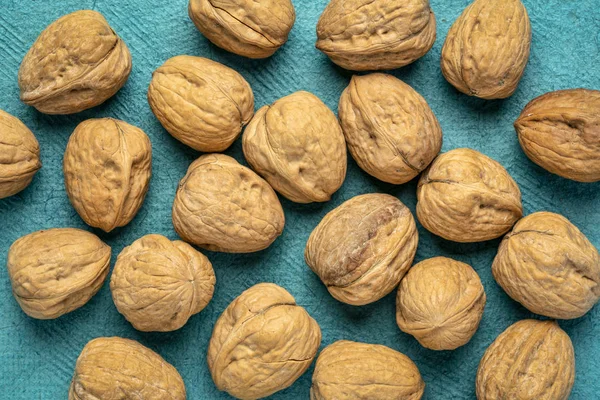 walnuts on turquoise textured handmade Huun paper