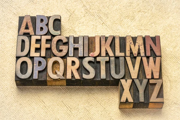 Alphabet Abstrakt Vintage Boktryck Träslag Klichéer Mot Texturerat Bark Papper — Stockfoto