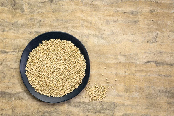 White sorghum grain — Stock Photo, Image