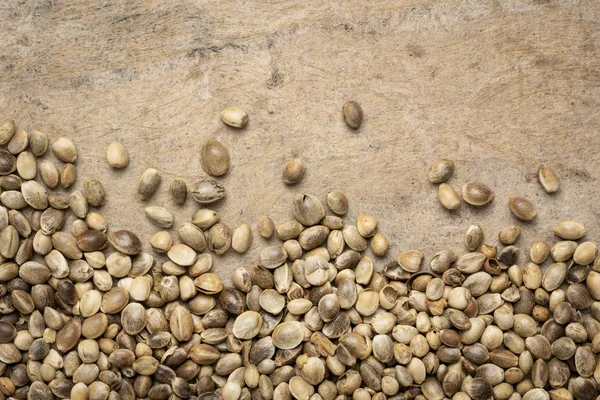 Dried hemp seeds on grunge background — Stock Photo, Image
