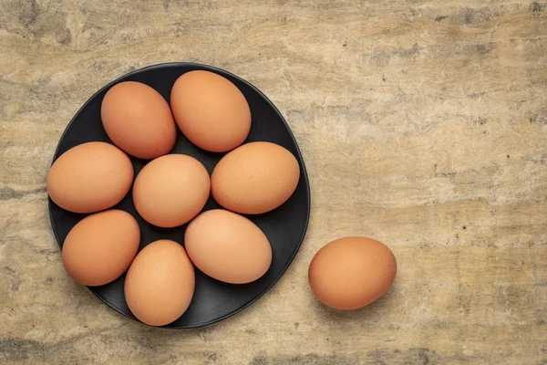 Ve volném výběhu velké hnědé slepičí vejce — Stock fotografie