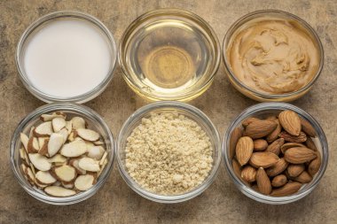 collection of almond super foods clipart