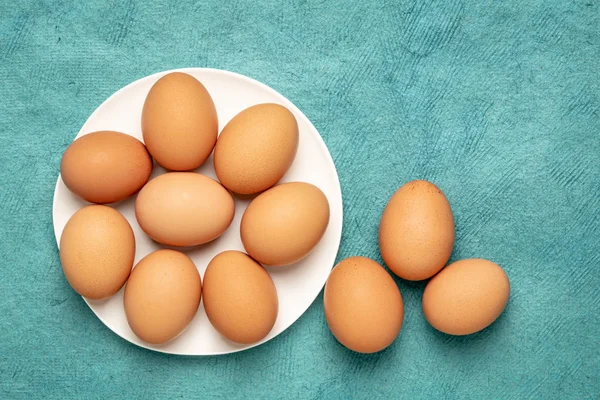 Frigående stora bruna kyckling ägg — Stockfoto