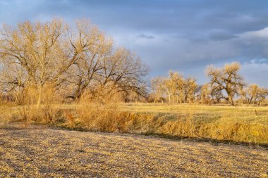 kırsal Doğu Colorado peyzaj 