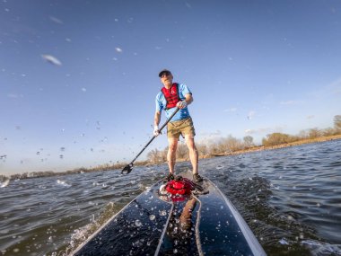 gölde sıçramalar yapma paddleboard ayağa kalk