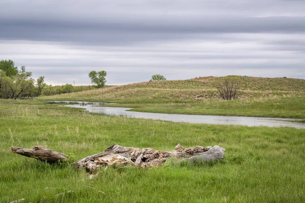 Potok v Nebrasce Sandhills — Stock fotografie