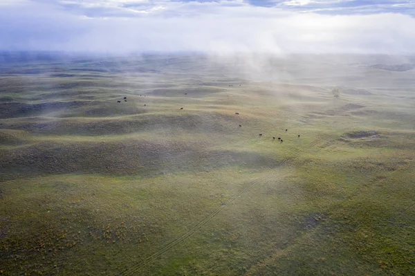 Nebulosa mañana de primavera sobre Nebraska Sandhills — Foto de Stock