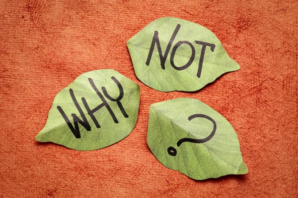 Why not question on sticky notes — Stock Photo, Image