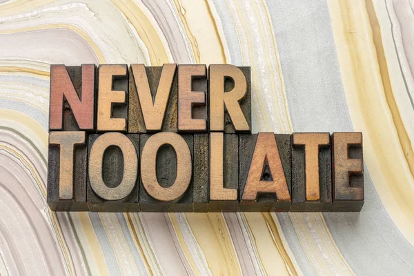Never too late word abstract in wood type — Stock Photo, Image