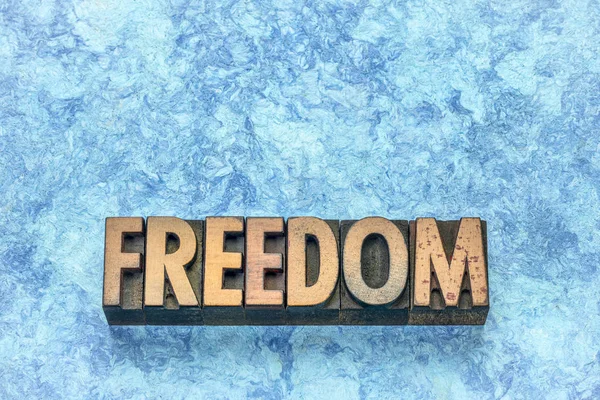 Freedom word in wood type — Stock Photo, Image