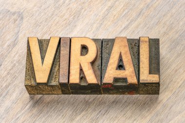 ahşap tip viral kelime