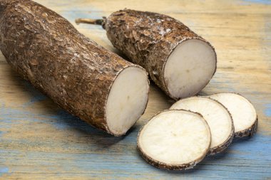 yuca cassava root clipart