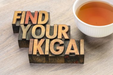 find your ikigai word abstract in wood type clipart