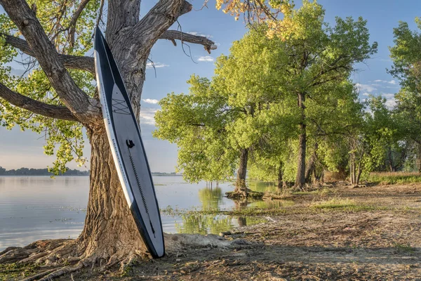 De pie paddleboard en la orilla del lago —  Fotos de Stock