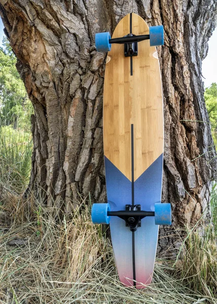Sétahajózó longboard a fa ellen — Stock Fotó