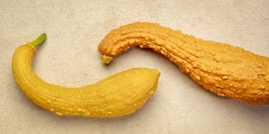 kağıt karşı küçük dekoratif kabalık