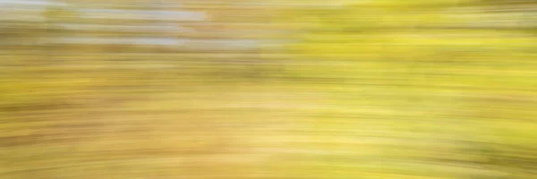 Motion blur abstract of fall leaves — Stock Photo, Image