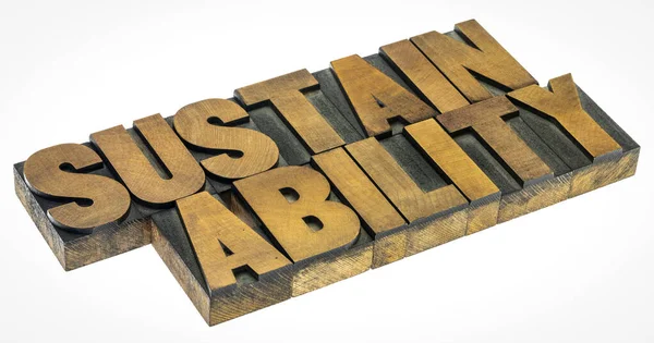 Sustainability word in wood type — Stock Photo, Image