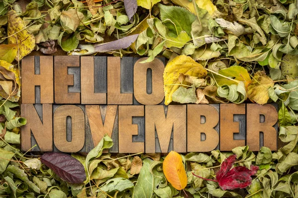 Hallo November Grußkarte — Stockfoto