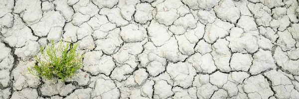 Dry and cracked desert soil background — Stock Photo, Image