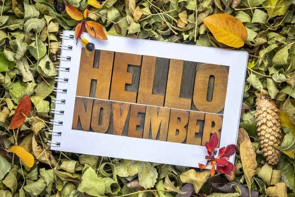 Ciao novembre biglietto di auguri — Foto Stock