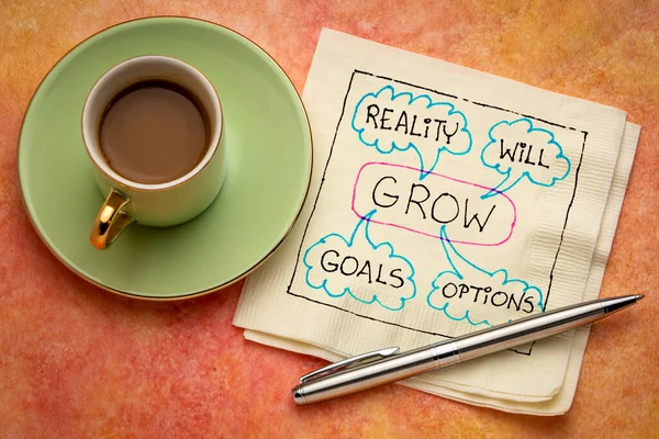 Grow Goals Reality Options Acronym Napkin Doodle Cup Coffee Business — Stock Photo, Image