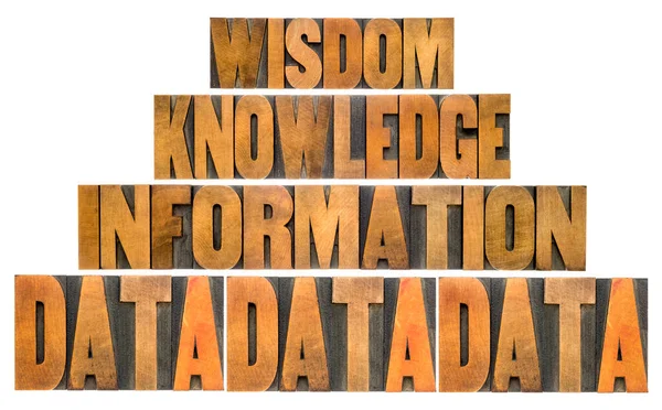 Data Information Knowledge Wisdom Dikw Pyramid Concept Vintage Letterpress Wood — Stock Photo, Image
