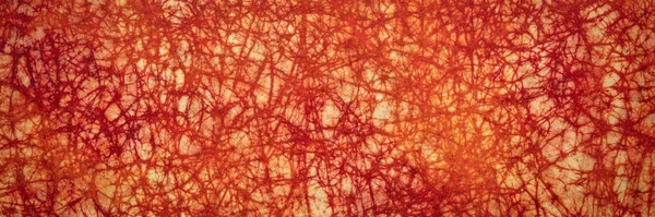 Orange Red Vein Background Texture Handmade Nepalese Batik Lokta Paper — Stock Photo, Image