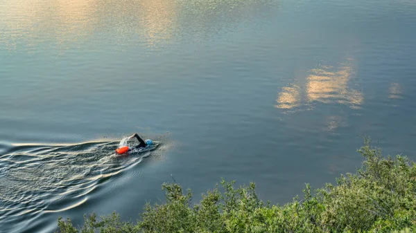 open water swimmer with a swim buoy on a calm lake, summer morning workout