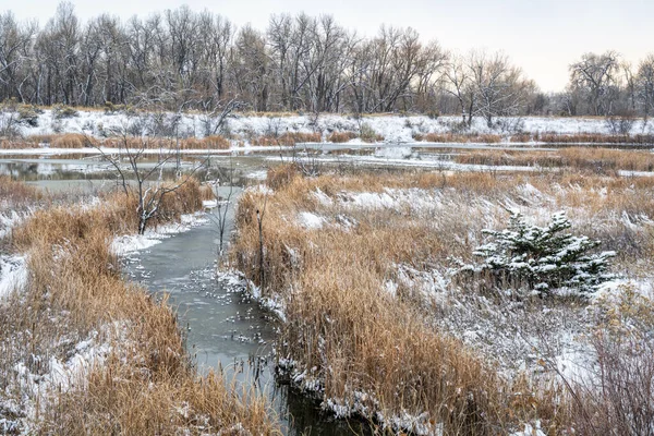 Queda Cenário Inverno Uma Das Áreas Naturais Fort Collins Colorado — Fotografia de Stock