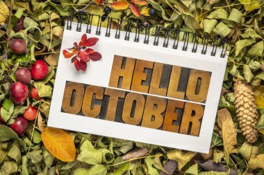 Merhaba October - Eski moda harf baskı ahşap yazı tipi kuru yapraklar, böğürtlenler, koniler ve yengeç elmaları, sonbahar tatili tebrik kartı konsepti