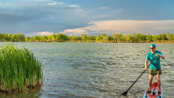 Atletický Senior Samec Pádlování Pádlování Vstát Paddleboard Větrném Jezeře Zelenými — Stock fotografie