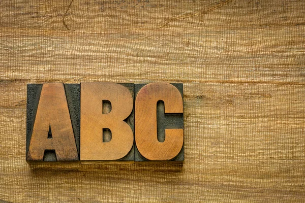 Primeiras Letras Alfabeto Blocos Tipo Tipografia Madeira Vintage Contra Papel — Fotografia de Stock