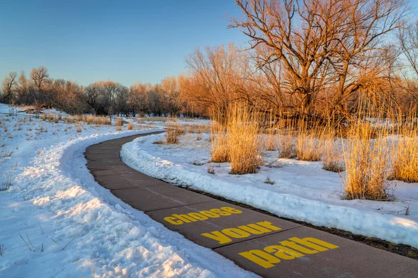 Выбрать Свой Путь Знак Ветреной Велосипедной Дорожке Зимний Закат Пейзажи — стоковое фото