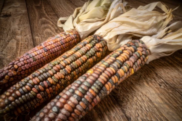 Dekorative Maisähren Großaufnahme Auf Rustikalem Holz Herbstferien Oder Erntekonzept Weichzeichnungsaufnahme — Stockfoto