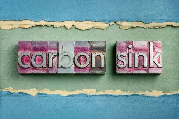 Carbon Sink Word Abstract Gritty Vintage Letterpress Metal Types Climate — Stock Photo, Image