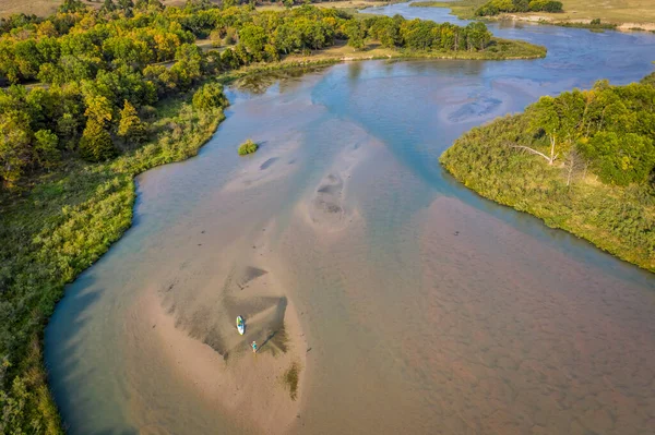 Встань Навпомацки Собакою Мілководді Річка Дим Національному Лісі Небраски — стокове фото