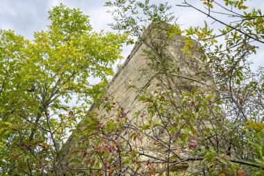 Nebraska, Norden 'deki Niobrara Nehri' nde ağaçlar ve vahşi tüylerle kaplanmış eski köprü.