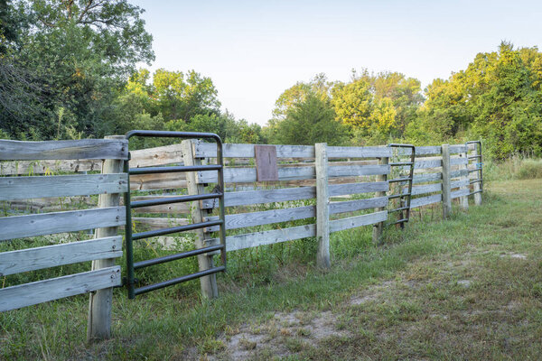 конный загон в палаточном лагере Уайттейл в Национальном лесу Небраски, поздний летний пейзаж