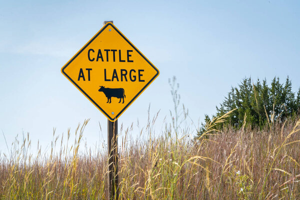 крупный рогатый скот на большой площади - дорожный знак открытого радиуса действия на проселочной дороге в Небраске