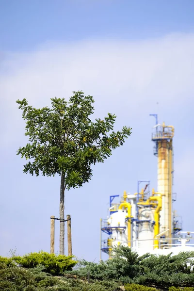 Reforestación Los Alrededores Complejo Petroquímico Europa —  Fotos de Stock