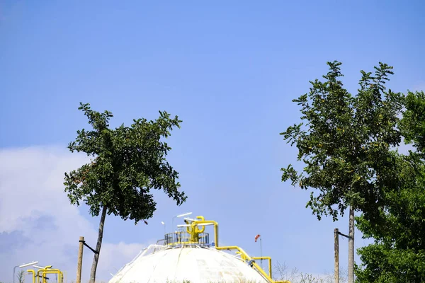 Reforestación Los Alrededores Complejo Petroquímico Europa —  Fotos de Stock