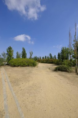 Metin eklemek için alanı ile terk edilmiş bir park peyzaj